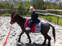 Randonnée à cheval en weekend ou court-séjour