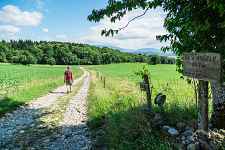 Sentier pédestre les chemins d'Angely