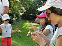 Balade-Jeux : Je découvre la forêt en m'amusant