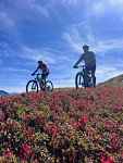 Randonnées à vélo et à VTT