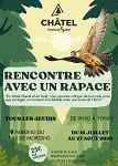 Rencontre avec un rapace