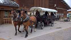 Balade dînatoire en calèche avec fondue savoyarde