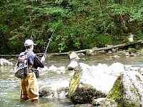 Parcours pêche, Le Brevon à Vailly