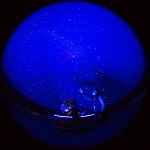 Printemps des Poètes : Vers l'infini libre : planétarium