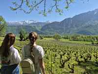 Journées européennes du patrimoine 2026 : A la découverte du vignoble d'Ayze et du Gringet