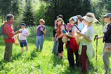 Comprendre et utiliser les plantes