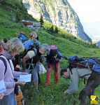 Stage de botanique perfectionnement
