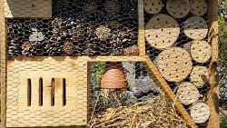 Refuge et biodiversité