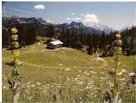 Refuge de Spee