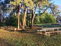 Aire de pique-nique du Pont de la Caille