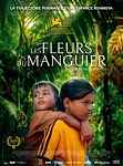 Ciné - Les fleurs du manguier