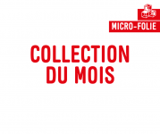Musée numérique : Collection Bretagne
