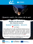 Chauves-souris - Reines de la nuit