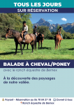 Promenade en poney et cheval