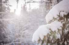 Itinéraire rando hiver Chemin de Lady les Granges