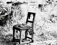 Electre des bas-fonds