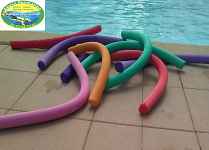 Natation / Sauvetage / Sécurité aquatique