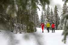 Sortie en Raquettes avec ESF