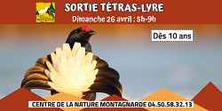 Sortie découverte du Tétras Lyre
