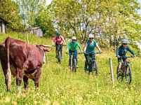 Randonnée collective en VTT AE : Face au Mont-Blanc