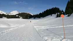 Itinéraire raquettes : La boucle de Molly