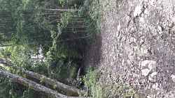 Randonnée pédestre - La Maison des fées