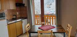 2 pièces - Chalet la Gentiane