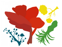 Exposition collective Labo 26