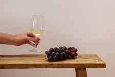 Dégustation de vins bio