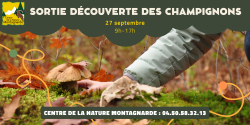 Sortie découverte des champignons