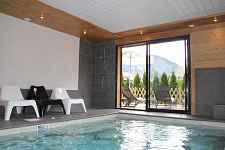 Les Soldanelles des Alpes