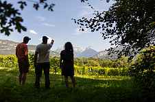 Les Coteaux des Girondales