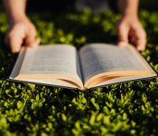 Lecture en plein air