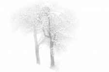 Exposition photographique : Tourmente