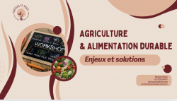Atelier collaboratif :  Agriculture & Alimentation durable : enjeux et solutions