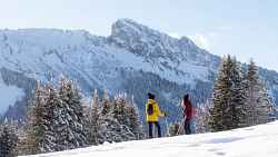 Balade au lac des mines d'or - Sentier de raquettes