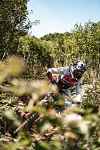 Coupe de France de VTT Descente (DH)