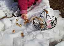 Chasse aux oeufs des tout-petits