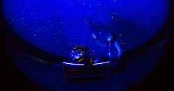 Planétarium 8 ans : Les étoiles filantes et le ciel de ce soir