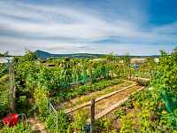 Atelier pratique : Faire son jardin de A à Z, la biodiversité du jardin