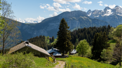 Itinéraire pédestre - Sur cou depuis Bellajoux