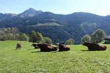 Fermes et Greniers à Abondance