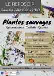 Plantes sauvages