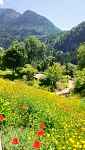 Jardin Alpin
