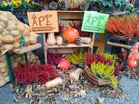 Foire d'automne