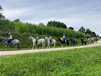 Ecuries des pious
