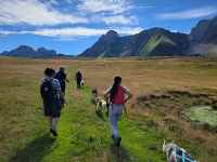 3 Journées découverte des chiens de traineaux