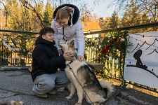 Sortie cani-balade face au Mont-Blanc