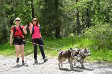 Cani-balade - sortie privée