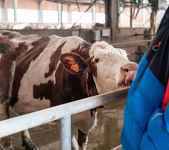 Ferme " Les Montagnards" - Exploitation agricole